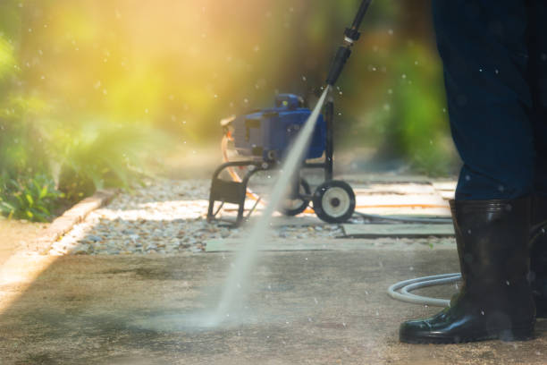 Animal Enclosure Cleaning in Jericho, NY